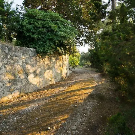 Celeste Tsilivi (Zakynthos)